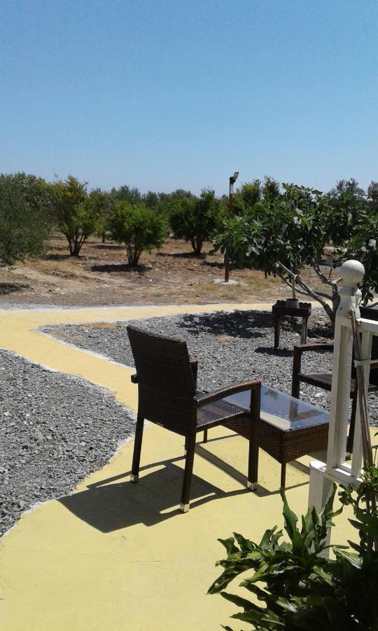 Mersinera Paradise Garden Stars House Λάρνακα Εξωτερικό φωτογραφία